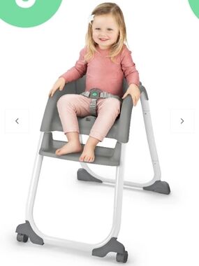 Ingenuity Gray Toddler Booster High Chair with Safety Harness New